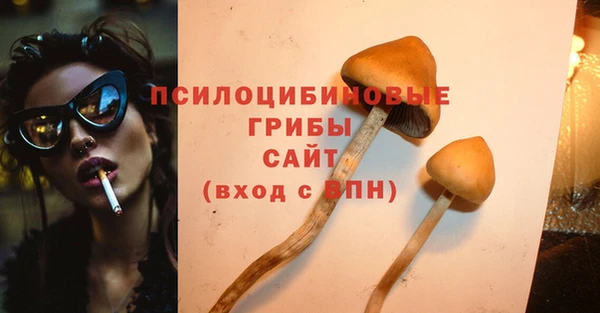 индика Абаза