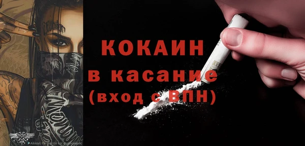 индика Абаза