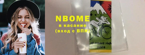 индика Абаза