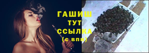 индика Абаза