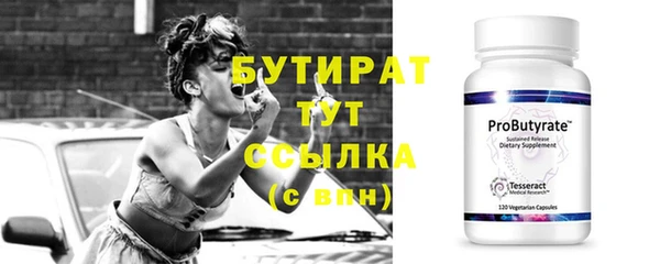 индика Абаза