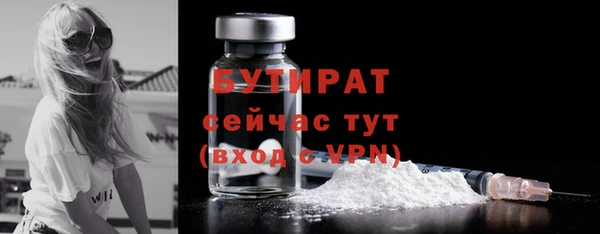 индика Абаза