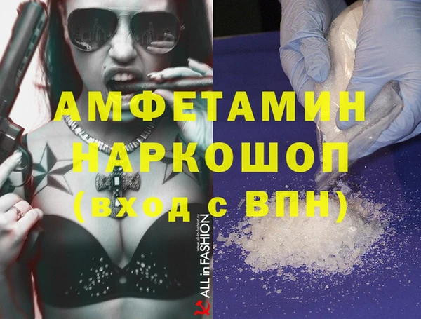 индика Абаза
